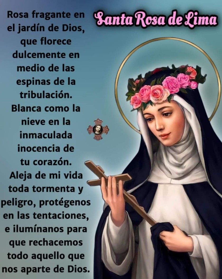 Divina Misericordia - 30 De Agosto Santa Rosa De Lima 2