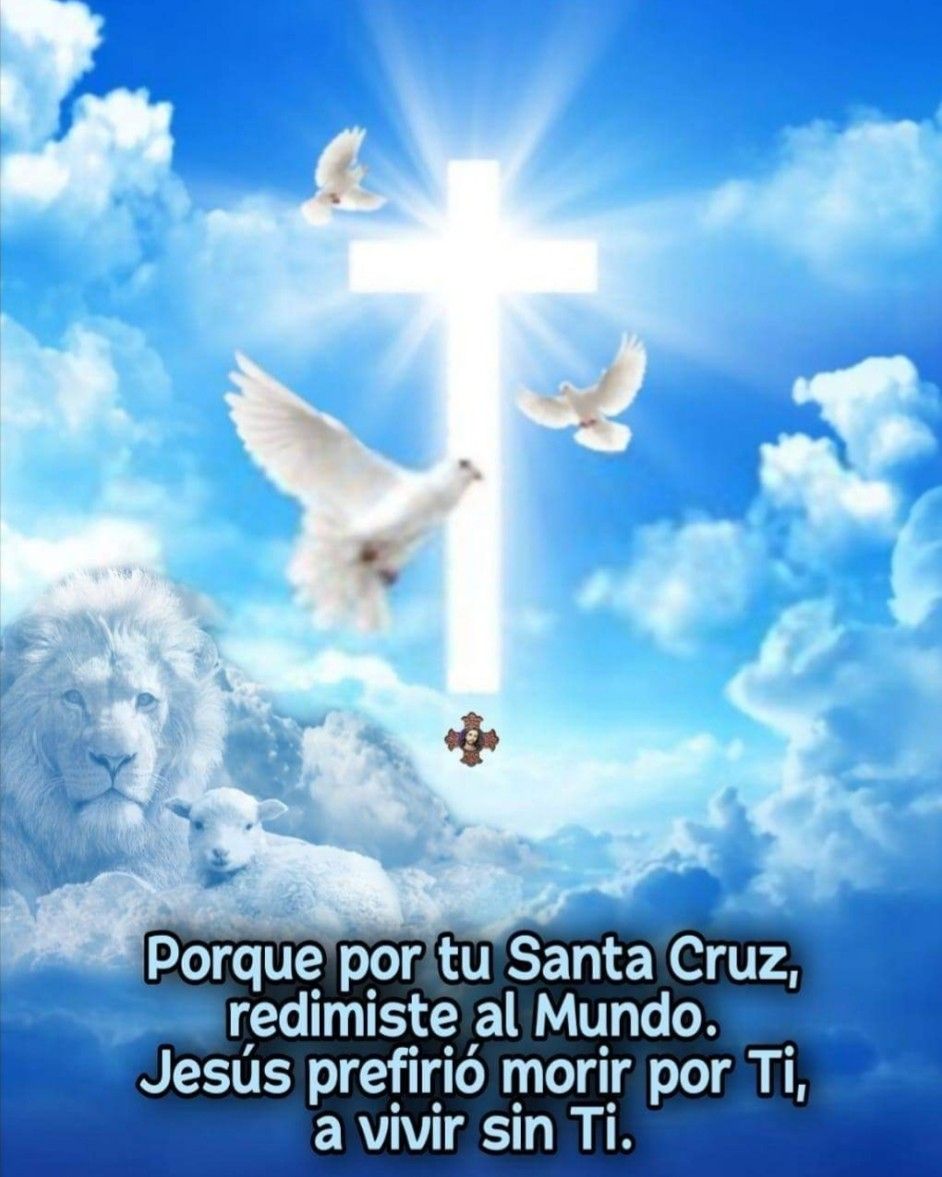 Divina Misericordia - Divina Misericordia