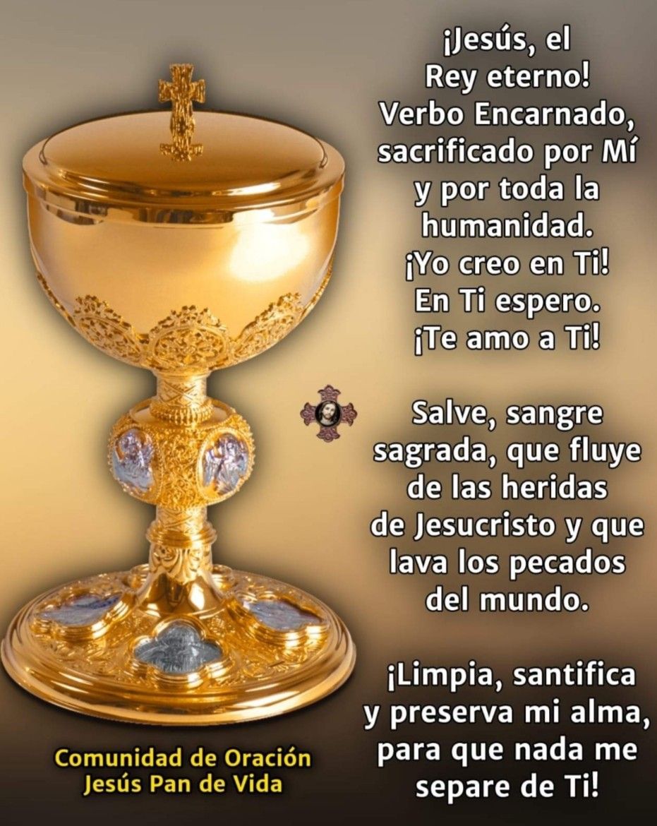 Divina Misericordia - Divina Misericordia 1