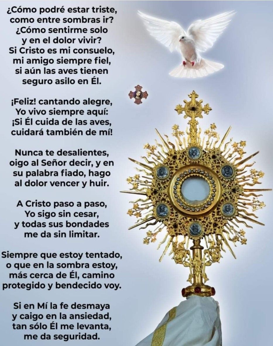 Divina Misericordia - Para Siempre 1