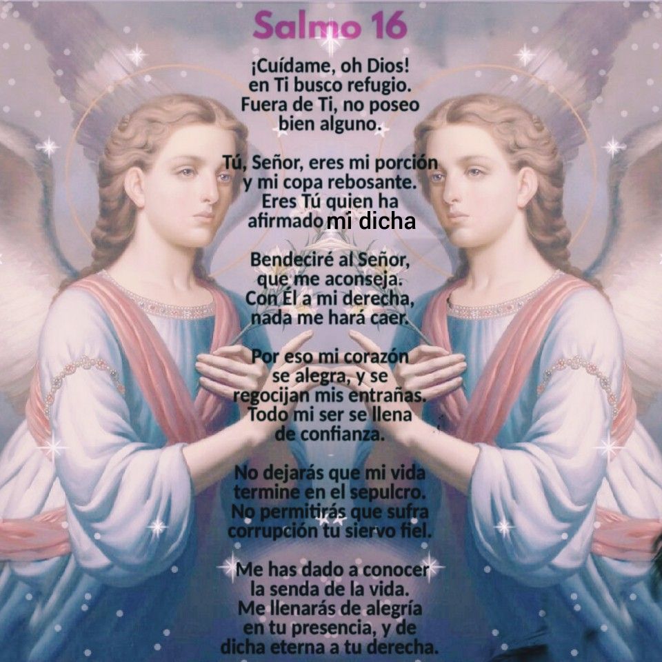 Divina Misericordia - Salmo 16 2