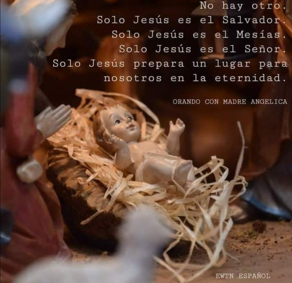 Divina Misericordia - Solo Tu Senor Jesus 2