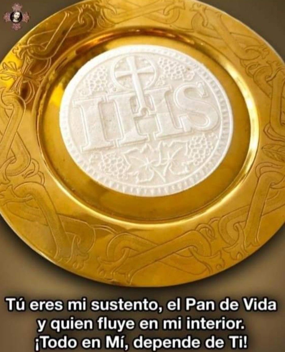 Divina Misericordia - Todo En Midepende De Ti Senor Jesus 1