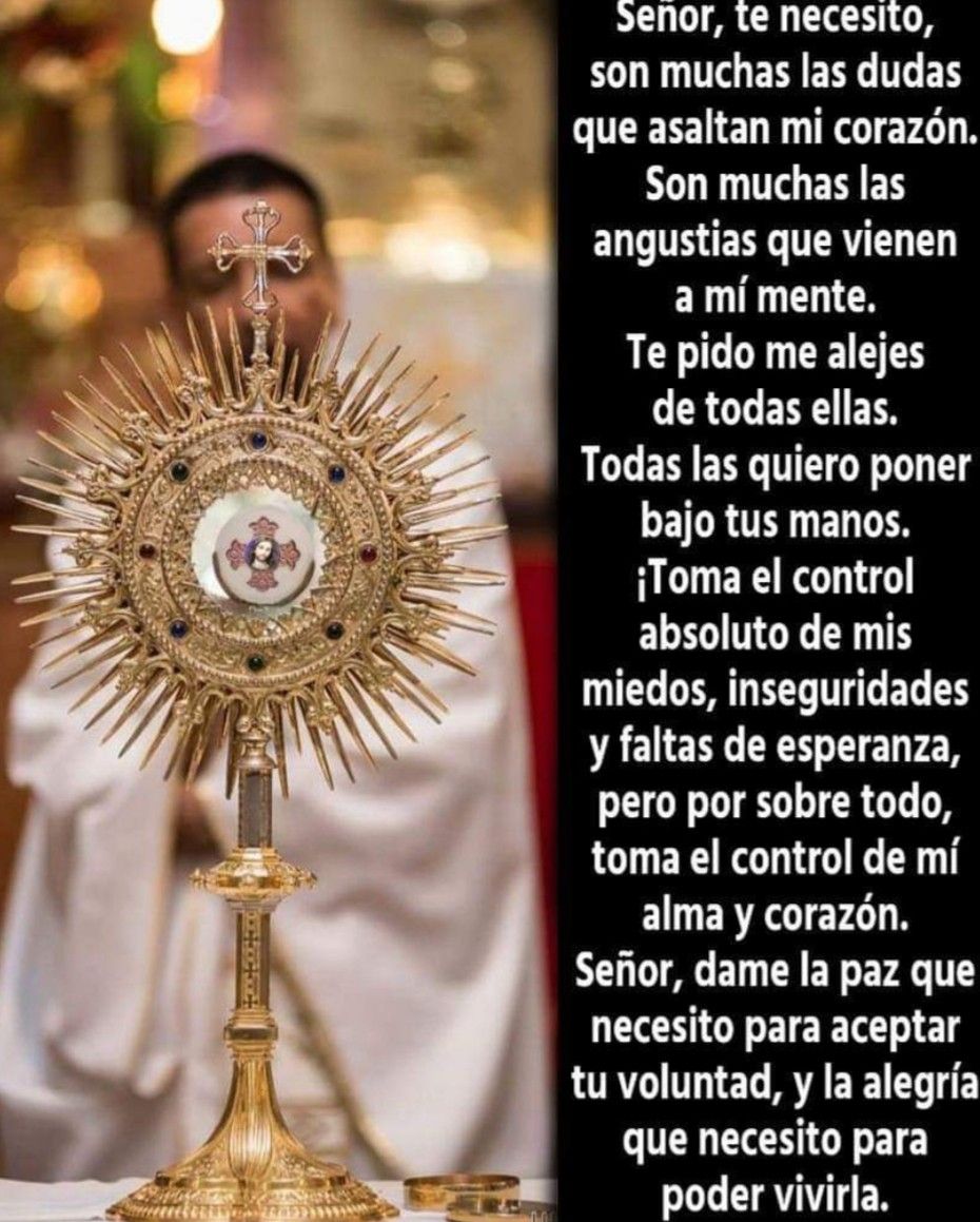 Divina Misericordia - Tu Nuestro Salvador Jesucristonuestra Unica Medicinanuestra