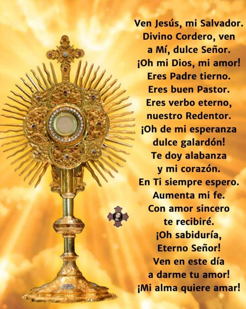 Divina Misericordia - Ven Jesusmi Salvador 3