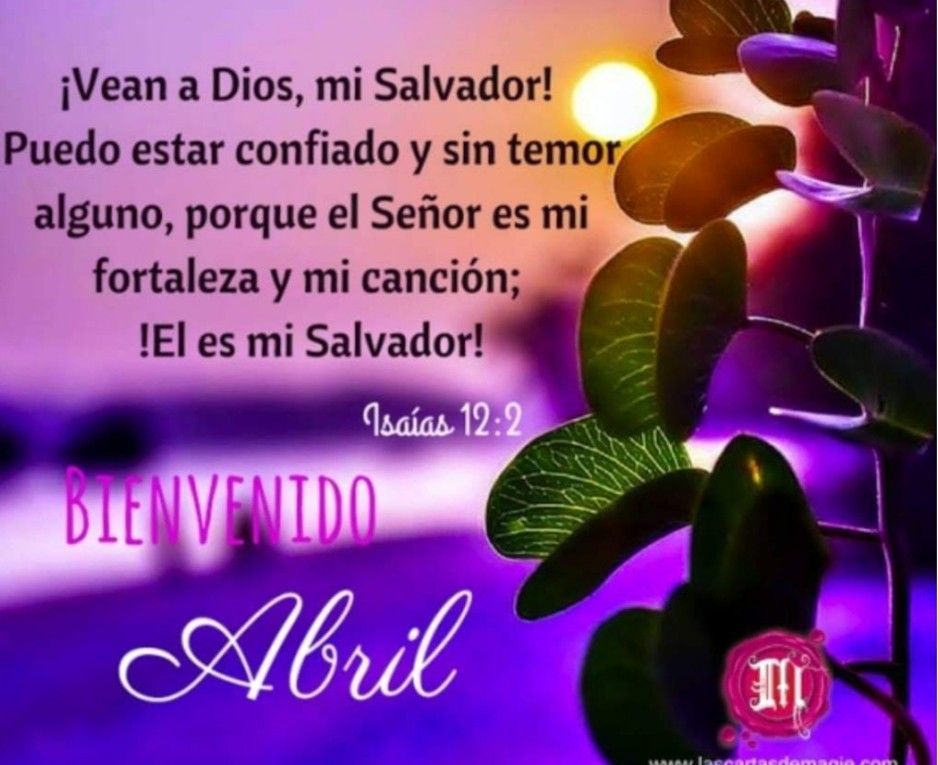 Divina Misericordia - Victoria En Cristo 1
