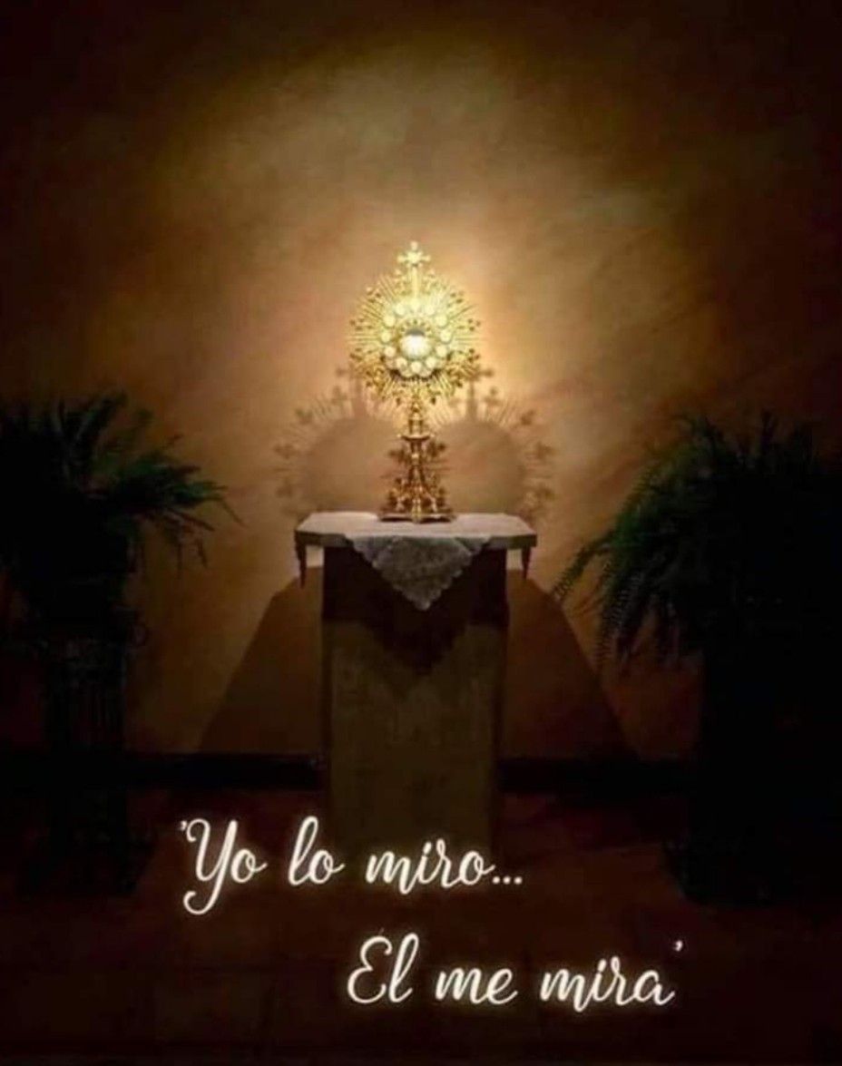Divina Misericordia - Yo Lo Miro El Me Mira 2