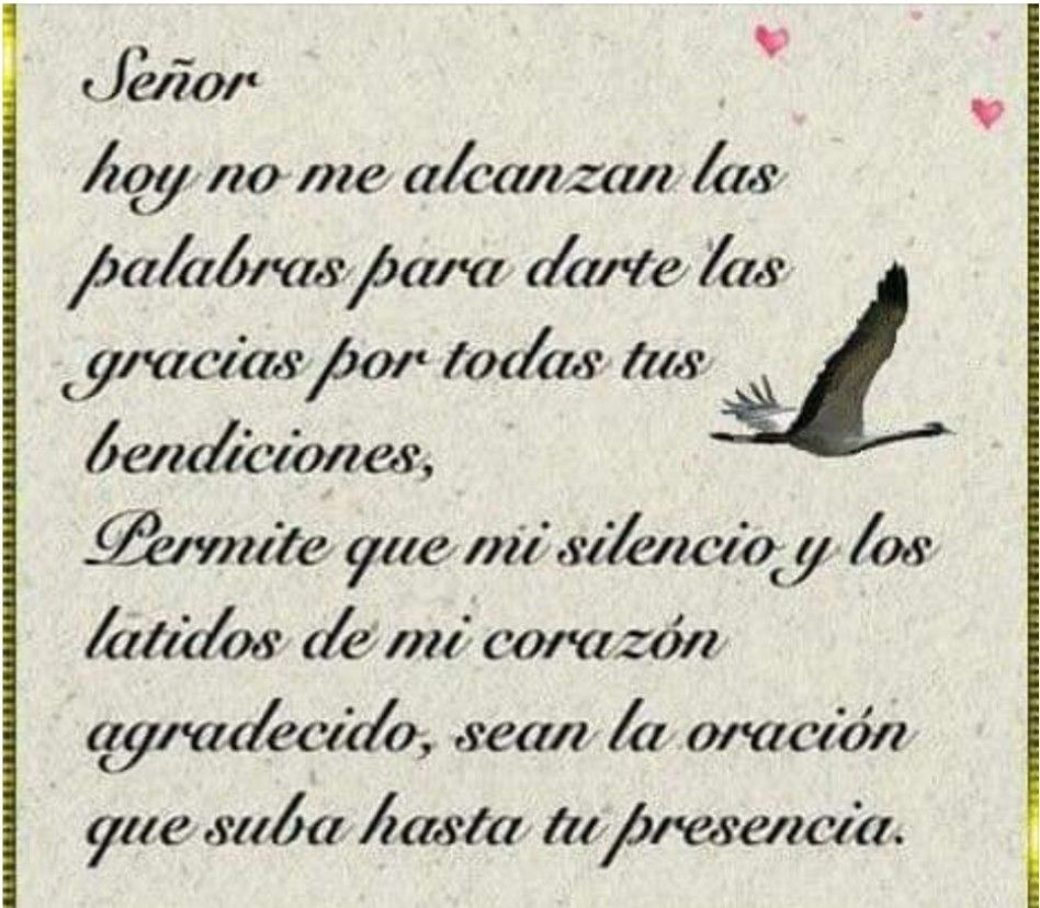 Infinita Misericordia - Gracias Mi Senor Jesus Por Todas Tus Bendiciones