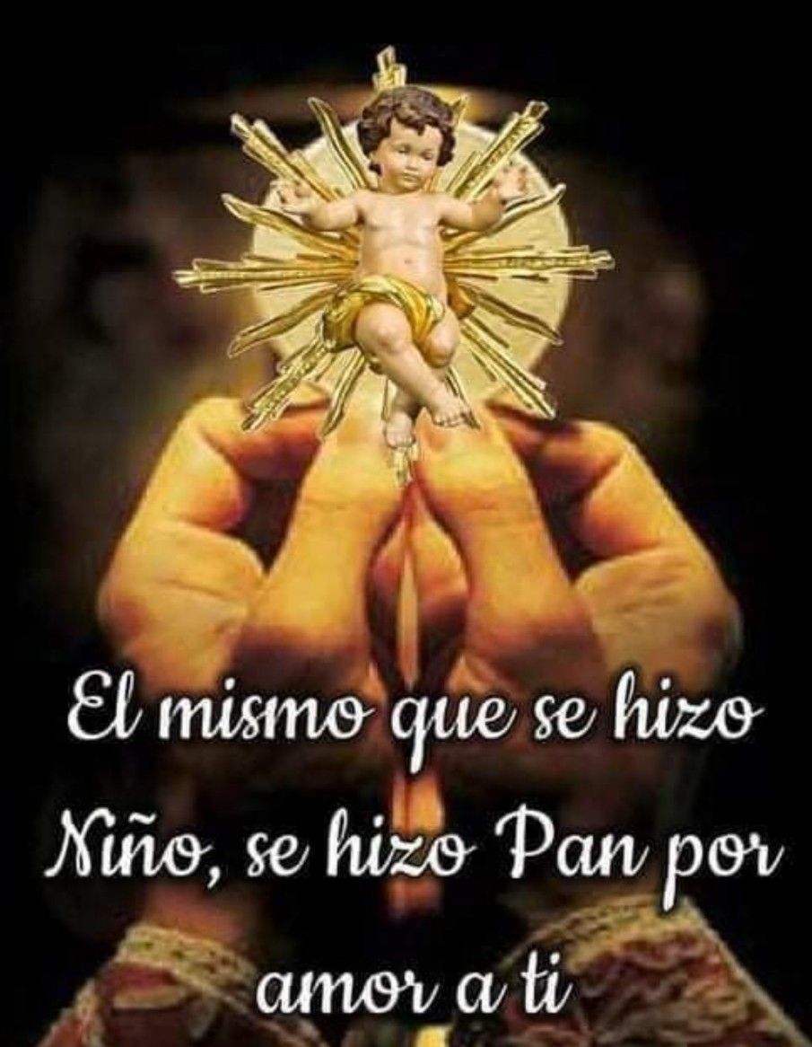 Navidad - Navidad