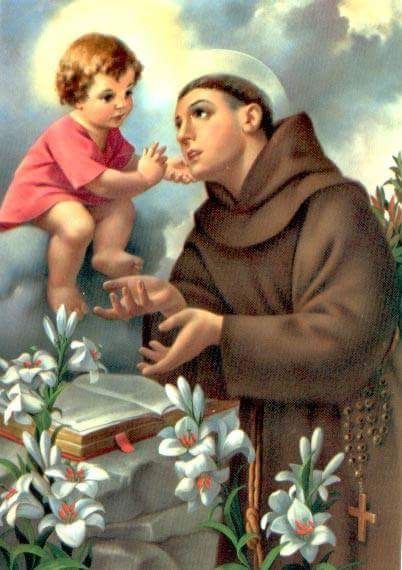 San Antonio de Padua - Camisa