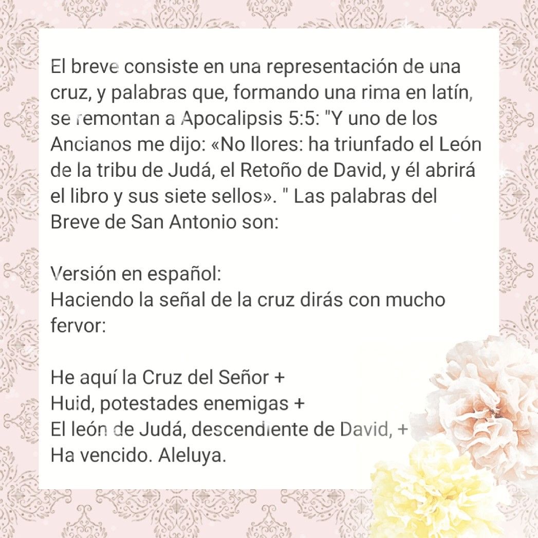 San Antonio de Padua - Palabras Del Breve De San Antonio De Padua