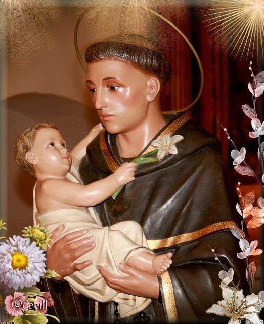 San Antonio de Padua - San Antonio De Padua 2