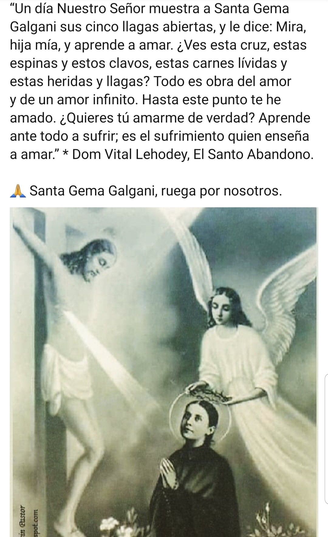 Santa Gema - Hermosa Pasionista De Nuestro Senor Jesus Gracias Por Amarlo